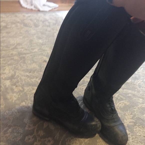 Donatello by Tredstep Horse Riding Tall Boots - Picture 1 of 10